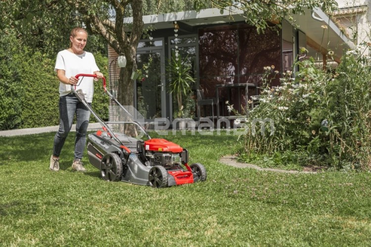 ბენზინის გაზონის საკრეჭი თვითმავალი AL-KO Comfort 46.0 SP-A 2000W (119936)