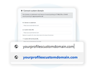 Custom domain integration