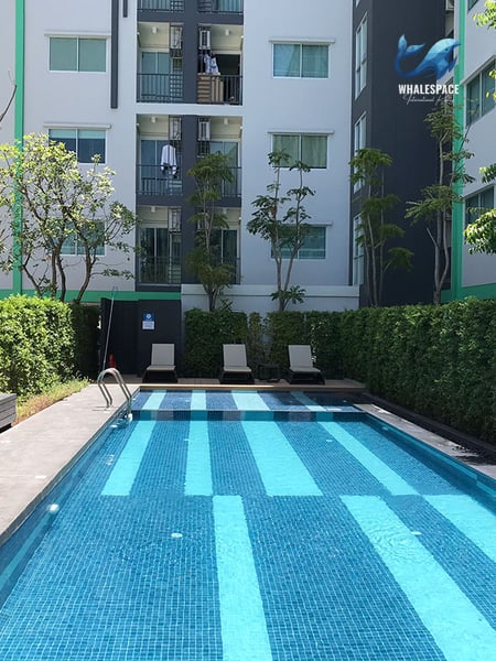 Resort-style swimming pool with sunbeds, set against a backdrop of green hedges and condominium buildings.