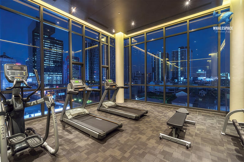 Well-equipped fitness center with treadmills and weight machines, overlooking the city skyline at dusk.