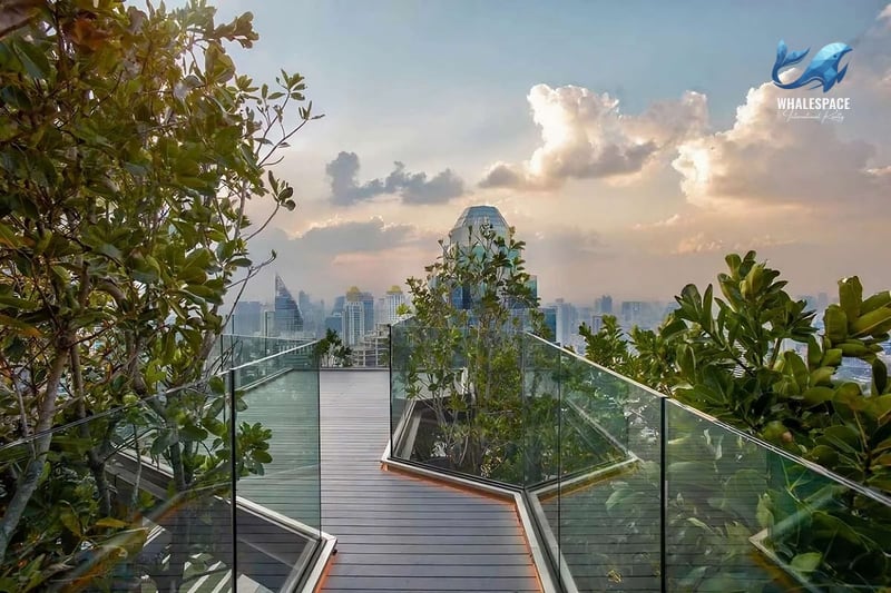 Serene rooftop garden pathway with wooden decking, verdant trees, and glass railings offering an elevated city vista.