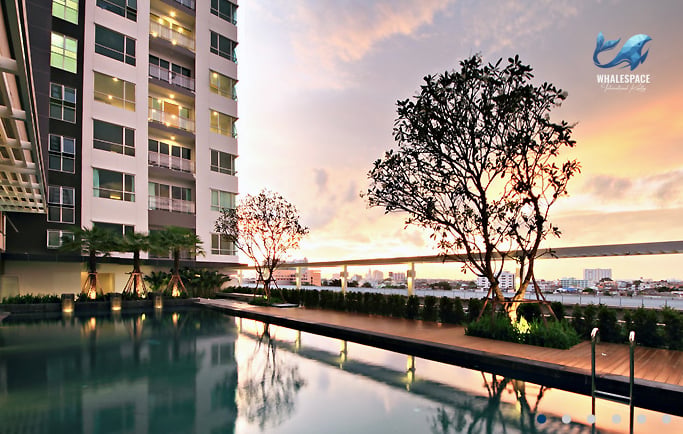 Swimming pool overlooking a cityscape at sunset with trees and seating