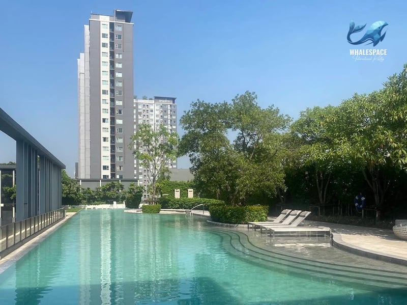Expansive outdoor swimming pool with built-in steps and submerged sun loungers, set against a backdrop of high-rise condominium buildings under a clear blue sky.