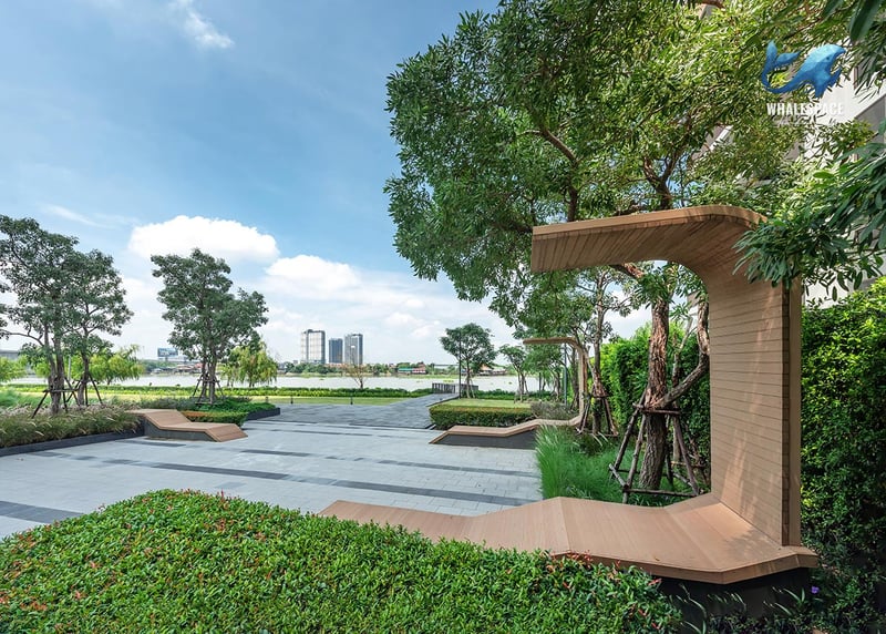 The Politan Rive photo 3