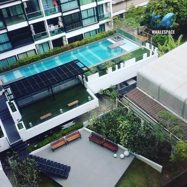 Aerial view of a rooftop pool and garden area with surrounding buildings