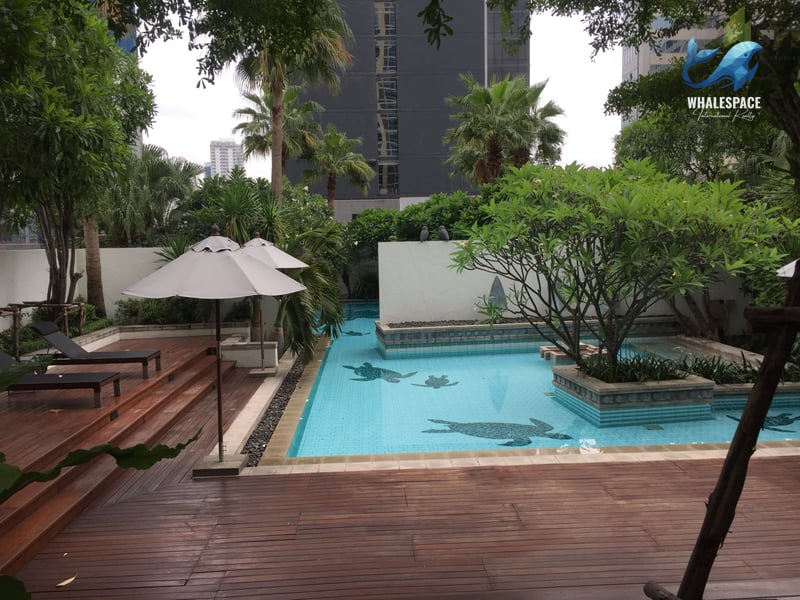 Outdoor swimming pool with turtle mosaic tiles, wooden deck, and sun loungers amidst lush greenery