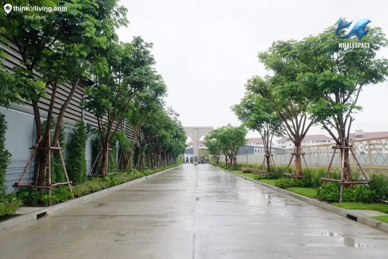 Siri Place Bangna-Thepharak photo 4