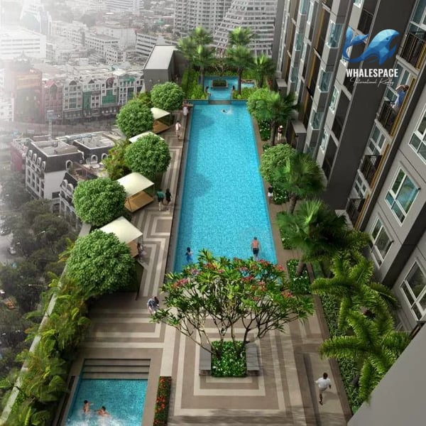 Stunning infinity pool on a high floor overlooking a dense cityscape, surrounded by lush greenery and lounge areas.