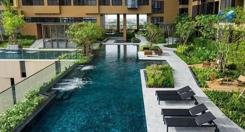 Stunning infinity pool surrounded by tropical landscaping and sun loungers.