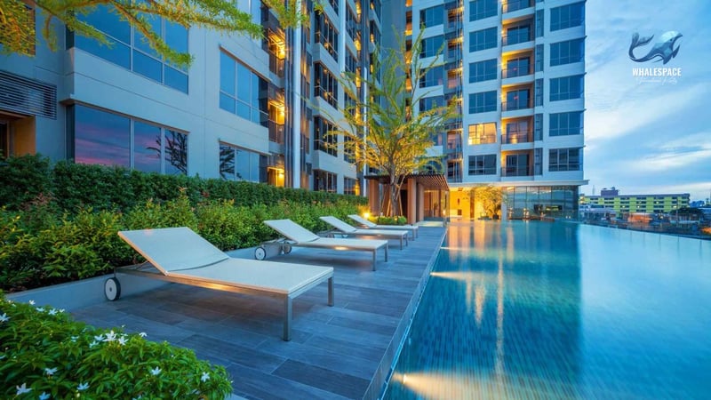 Infinity swimming pool at dusk with lounge chairs and lush greenery