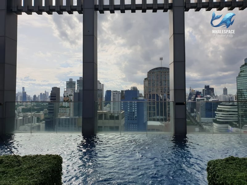 Rooftop infinity-edge swimming pool offering panoramic city skyline views.