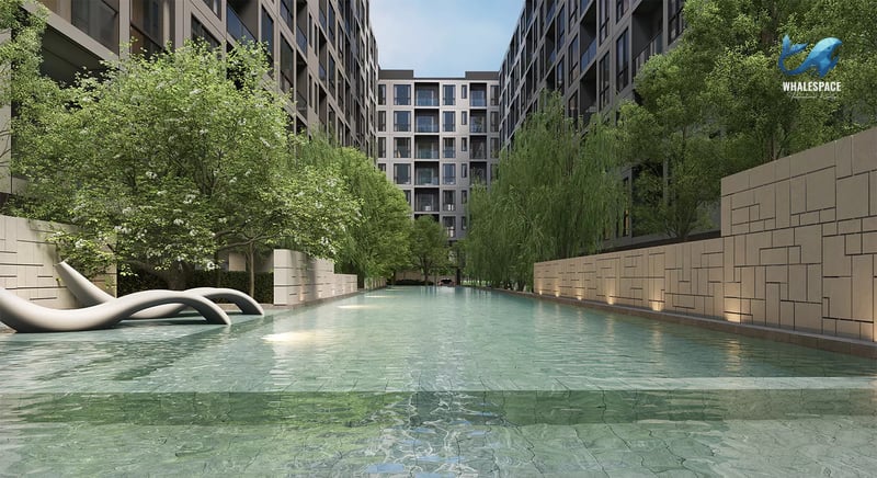 Expansive swimming pool surrounded by mature trees and modern architecture.