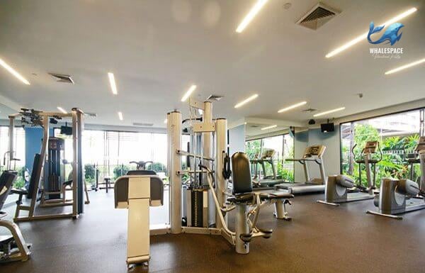 Spacious and well-lit fitness center equipped with various exercise machines, offering views of outdoor greenery.