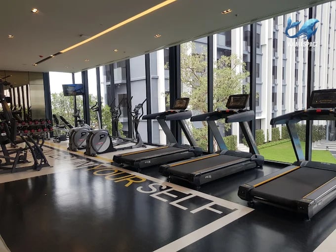 Well-equipped fitness center with treadmills, ellipticals, and weight training equipment, overlooking green spaces.