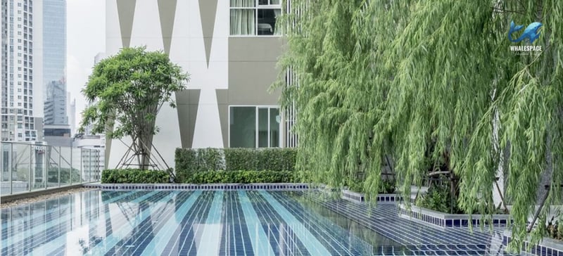 Serene swimming pool with surrounding greenery, offering views of the city skyline.