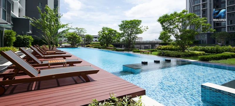 Expansive swimming pool with wooden deck and lush landscaping