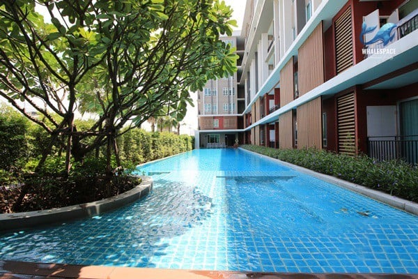 Expansive swimming pool with lush landscaping and surrounding lounge area.