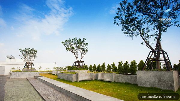 Serene rooftop garden with lush greenery, trees, and concrete seating areas, under a clear blue sky.