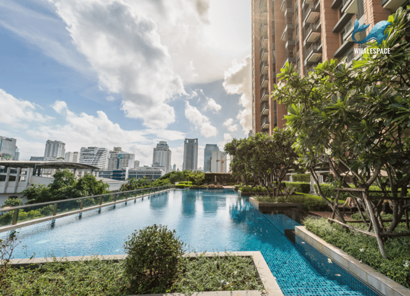 Rooftop swimming pool with city skyline views and lush landscaping