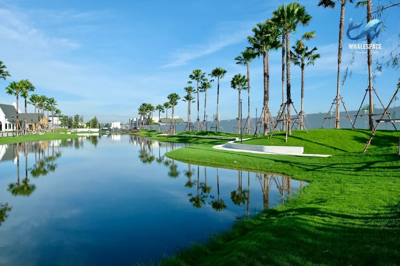 Expansive green lawns sloping down to a calm reflective pond, surrounded by mature palm trees under a clear blue sky, with the property's architecture visible in the distance.