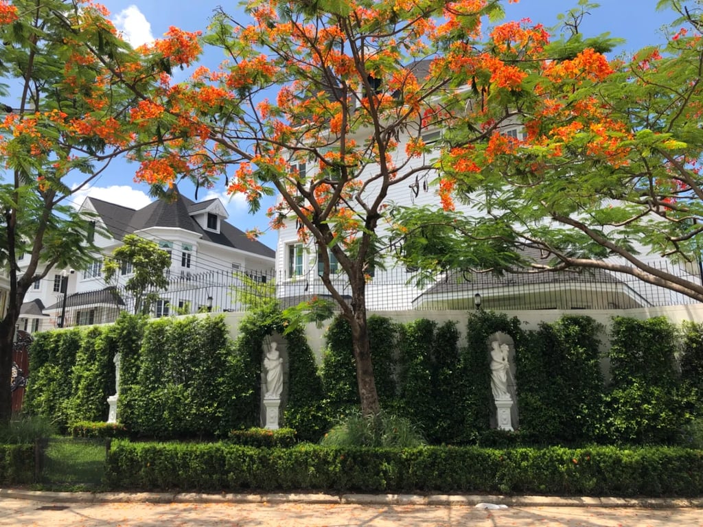 Fantasia Villa 2