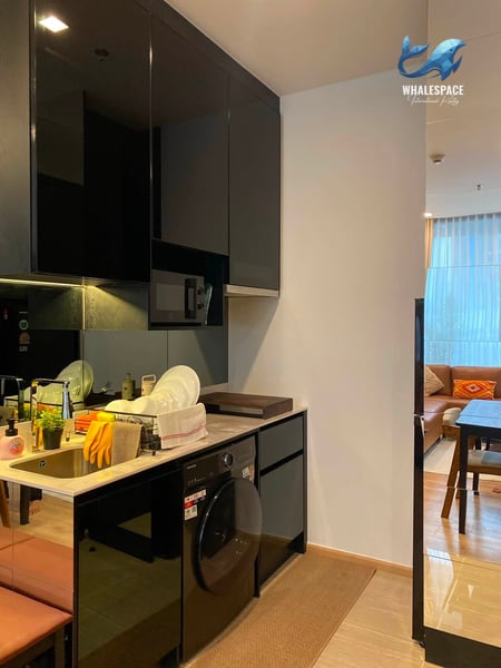 Noble Around Ari — Mid-Century Modern Luxury | Steps to BTS Ari photo 2