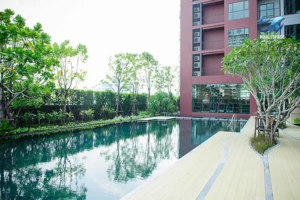 Resort-style swimming pool surrounded by lush greenery and modern wooden decking