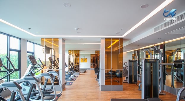 State-of-the-art fitness center equipped with modern cardio and weight training machines, featuring ample natural light.