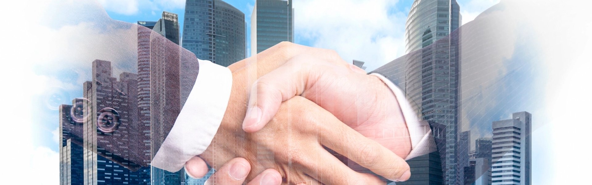 Partnerships with Whalespace