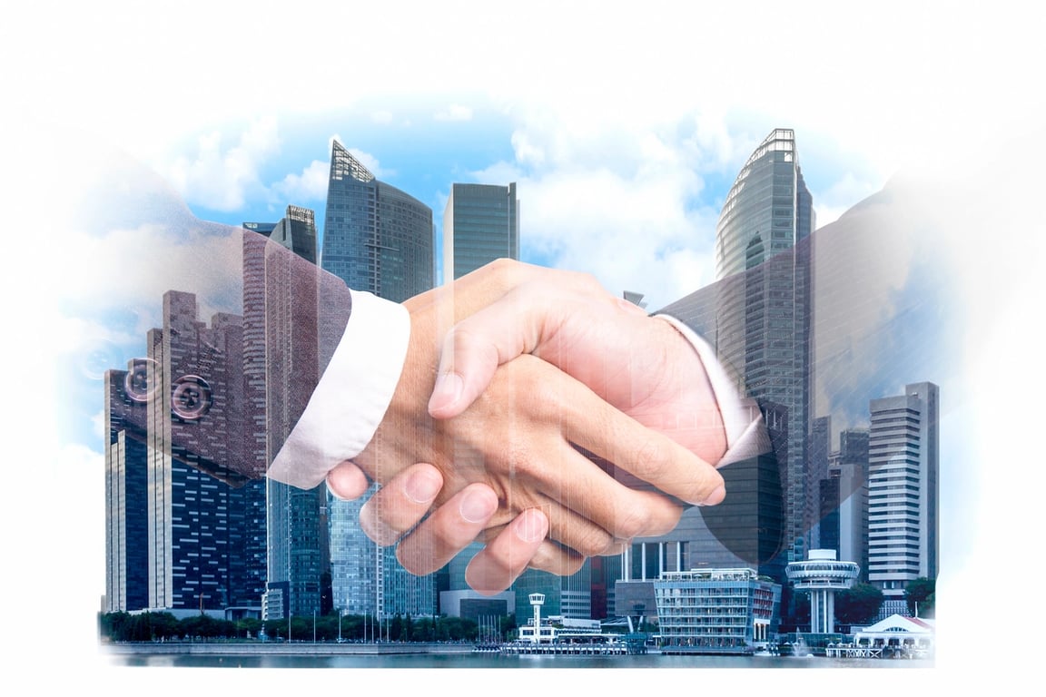 Partnerships with Whalespace