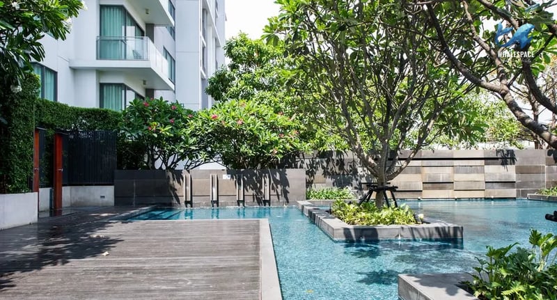 Serene swimming pool area with a wooden deck and lush greenery