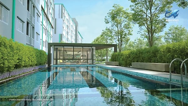 Outdoor swimming pool with an adjacent glass-fronted fitness center and lush green landscaping.