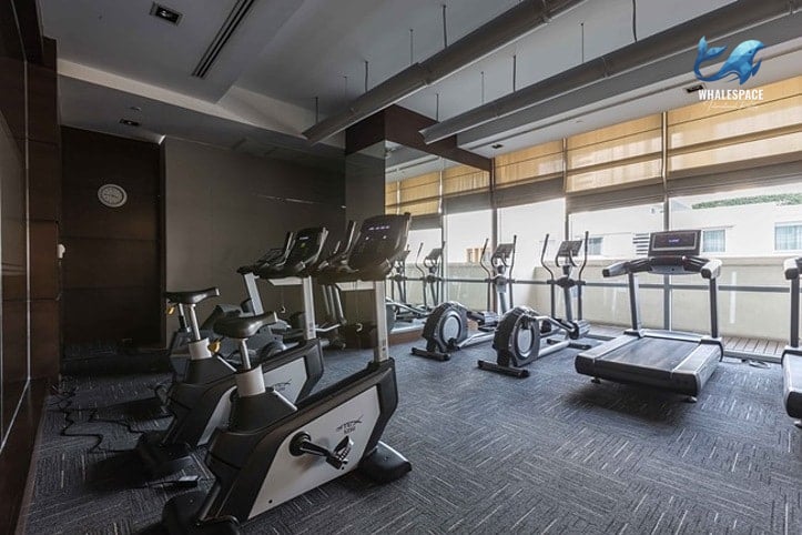 Well-equipped fitness center with various cardio machines and large windows providing natural light