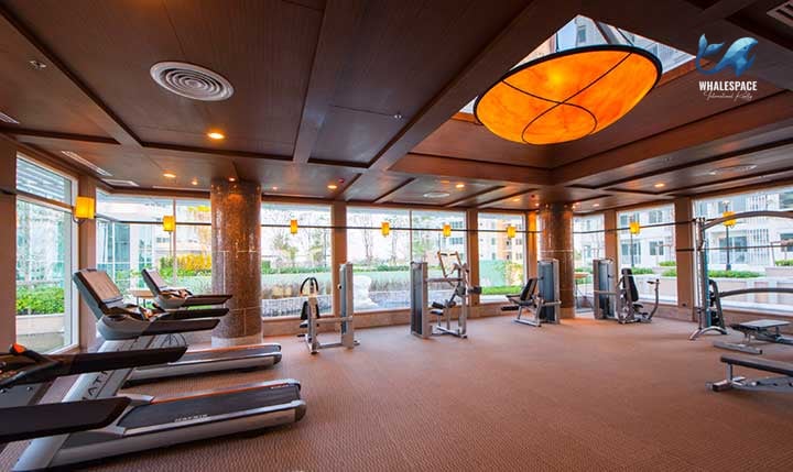 Modern fitness center with a range of treadmills and weight machines, featuring large windows overlooking a garden area.