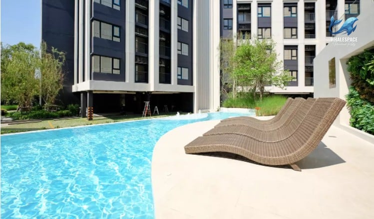 Curved outdoor swimming pool with stylish woven lounge chairs on a light-colored deck, adjacent to the modern building exterior.