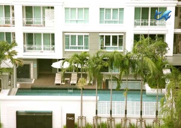Residential building exterior with balconies overlooking the landscaped pool area and palm trees.