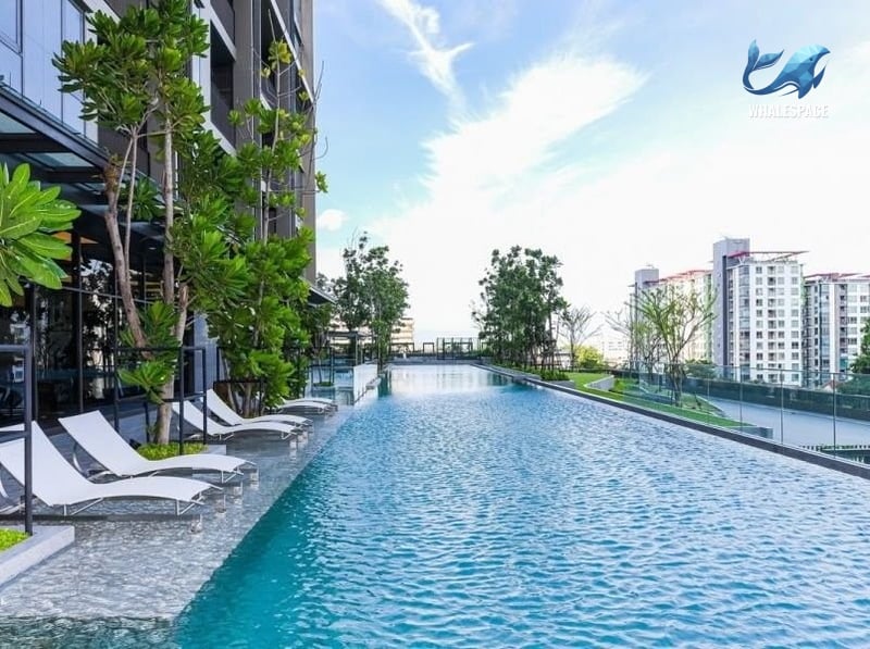 Whizdom Essence Sukhumvit photo 2