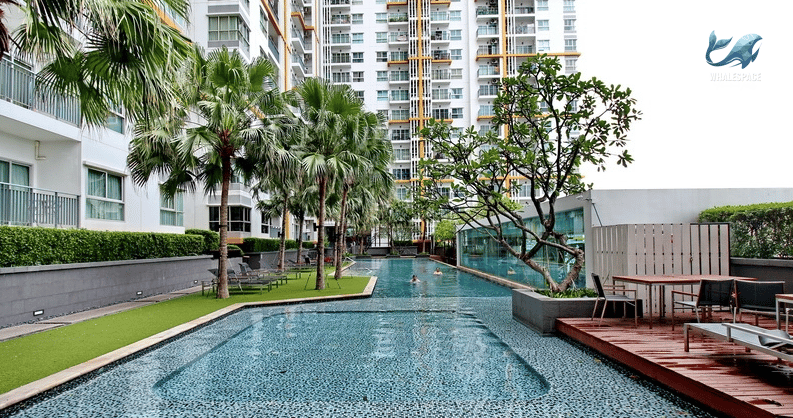 Resort-style swimming pool with lush palm trees and lounge chairs, surrounded by modern condominium buildings.