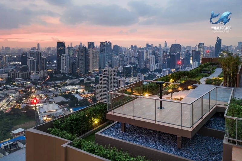 Expansive rooftop garden offering panoramic city views at sunset.