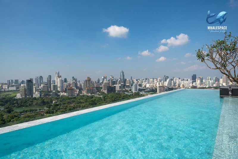 Rooftop infinity pool with a panoramic city and lush park view