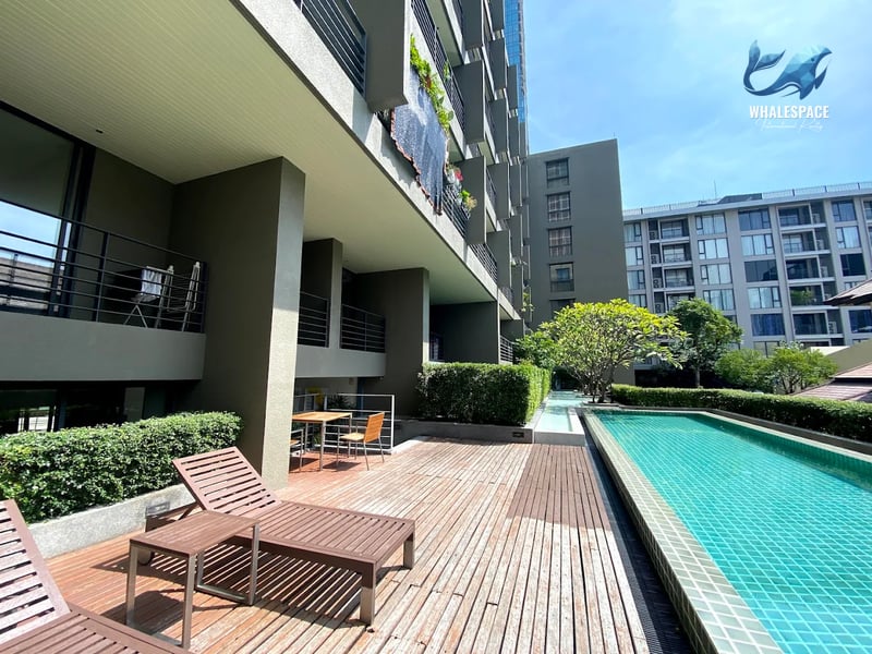Noble Ambience Sarasin photo 3