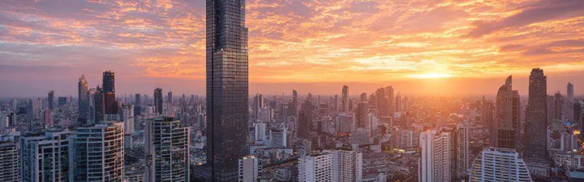 泰國市場領導者