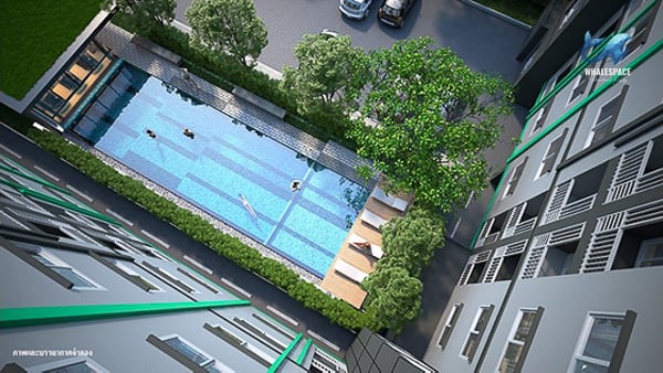 Aerial view of the condominium's outdoor swimming pool area with sun loungers and surrounding trees.