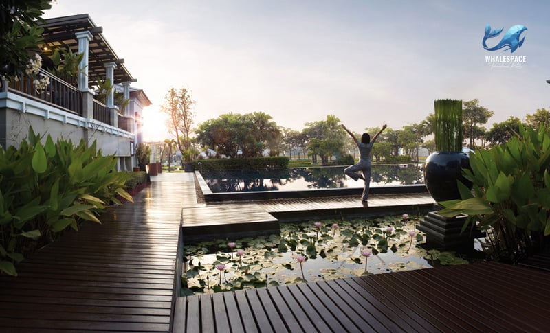 Elegant swimming pool and a serene water garden with lotus flowers, featuring a woman in a yoga pose on a wooden walkway.