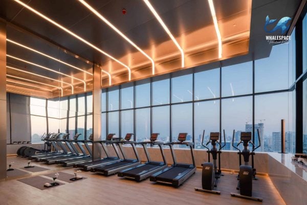 Modern gym with treadmills and weight machines, overlooking the city