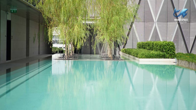 Tranquil water feature with lush greenery, reflecting the modern building facade.