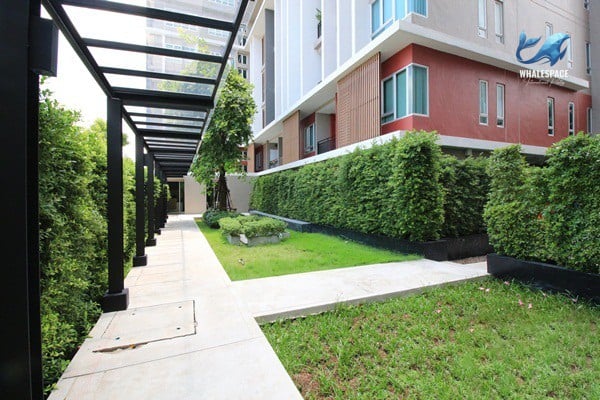 Lush green lawn and neatly trimmed hedges surrounding a pathway.