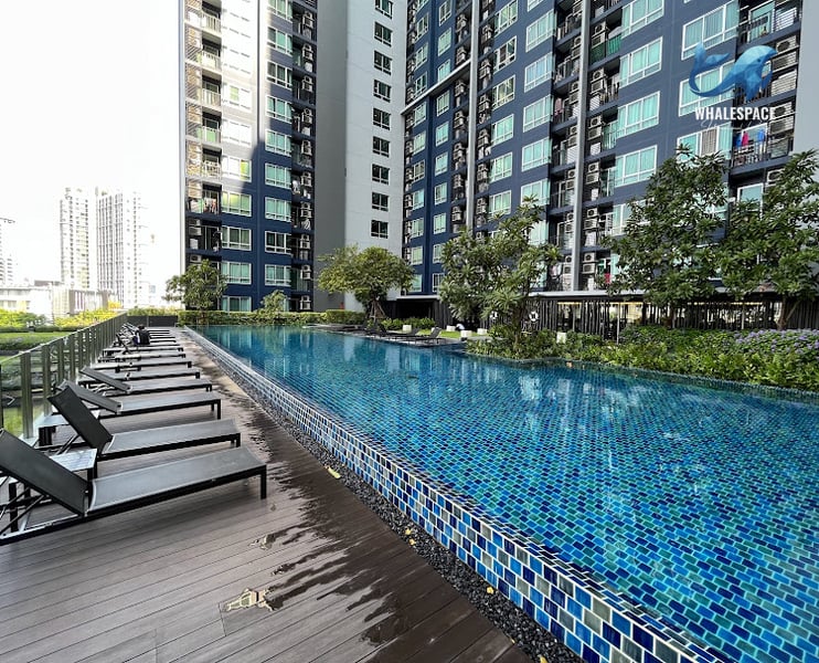 Expansive outdoor swimming pool with blue mosaic tiles, a wooden deck, and multiple sun loungers.