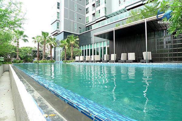 Expansive lap pool with sun loungers overlooking the modern building facade