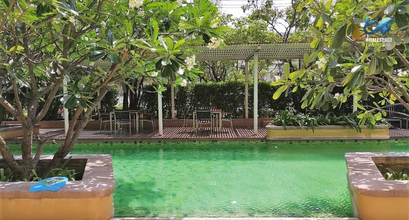 Tranquil swimming pool area surrounded by lush greenery and shaded seating.